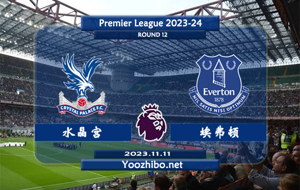 水晶宫vs埃弗顿赛事前瞻分析：埃弗顿客场胜率达到60%