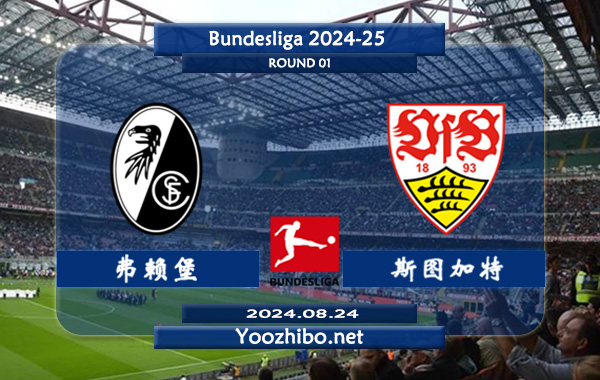 弗赖堡vs斯图加特赛事前瞻分析：弗莱堡进攻提升明显
