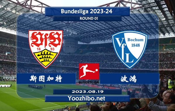 斯图加特vs波鸿赛事前瞻分析：斯图加特近期防线表现不错