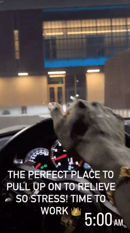 年入1.27亿世界第一！詹皇晒凌晨5点苦练，大秀肌肉回归湖人球馆