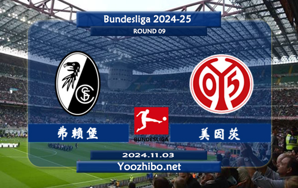 弗赖堡vs美因茨赛事前瞻分析：弗赖堡该队整体实力不俗