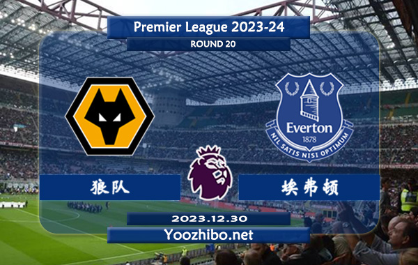 狼队vs埃弗顿赛事前瞻分析：狼队主场不败率高达80%