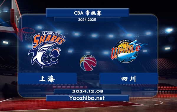 12月08日 CBA常规赛 上海vs四川直播前瞻分析