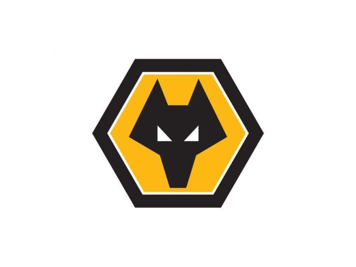 援港抗疫！前狼队小将、国脚戴伟浚捐2万件物资