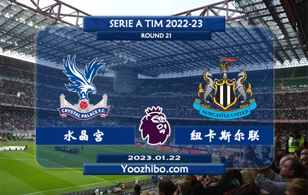 水晶宫vs纽卡斯尔赛事前瞻分析：纽卡斯尔联赛已14轮保持不败