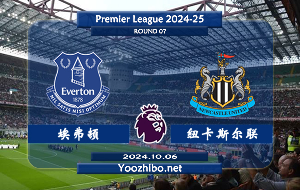 埃弗顿vs纽卡斯尔赛事前瞻分析：埃弗顿主场能力出色