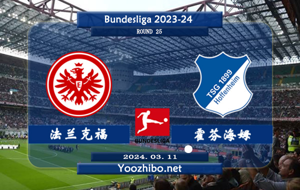 法兰克福vs霍芬海姆赛事前瞻分析：法兰克福该队主强客弱明显