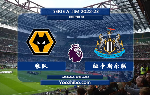 狼队vs纽卡斯尔赛事前瞻分析：狼队多名球员取得进球