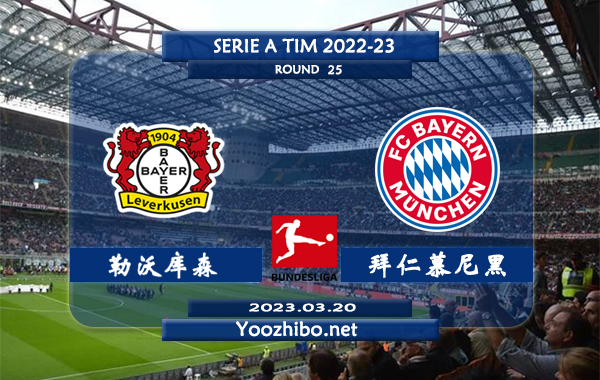勒沃库森vs拜仁慕尼黑赛事前瞻分析：拜仁近期总体状态实际不错