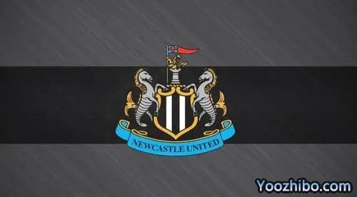 <a data-cke-saved-href='https://www.zcccq.com/news/tag/1100894/p/1.html' href='https://www.zcccq.com/news/tag/1100894/p/1.html'>纽卡斯尔联赛程</a>,2022-2023赛季英超联赛纽卡斯尔联赛程