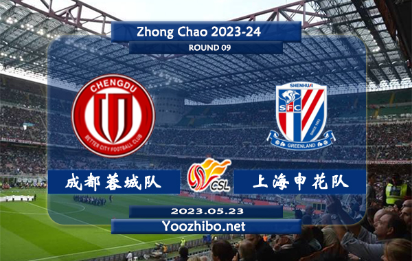 成都蓉城队vs上海申花队赛事前瞻分析：上海申花队近期状态优异