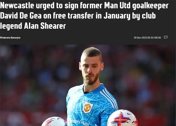 英超传奇阿兰-希勒：敦促纽卡斯尔在一月份签下门将大卫-德赫亚