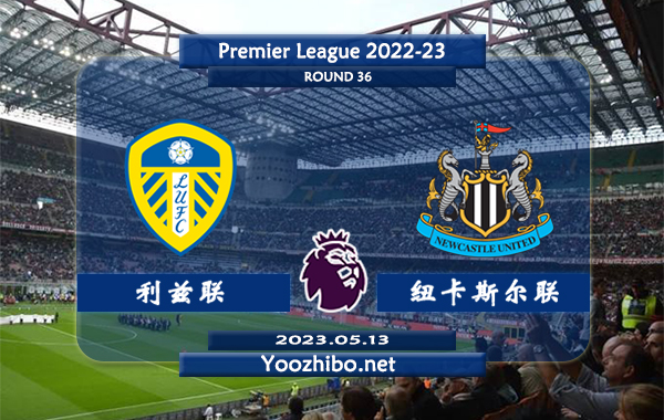 利兹联vs纽卡斯尔赛事前瞻分析：纽卡斯尔联近10场比赛8胜2负