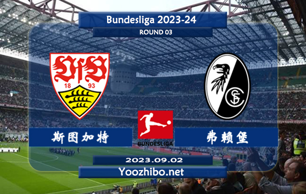 斯图加特vs弗赖堡赛事前瞻分析：斯图加特主场近5个联赛保持不败