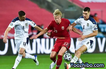 2022年卡塔尔世界杯塞尔维亚国家队阵容名单