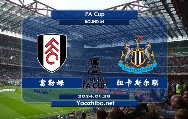 富勒姆vs纽卡斯尔赛事前瞻分析：富勒姆半场有球能力相当不错