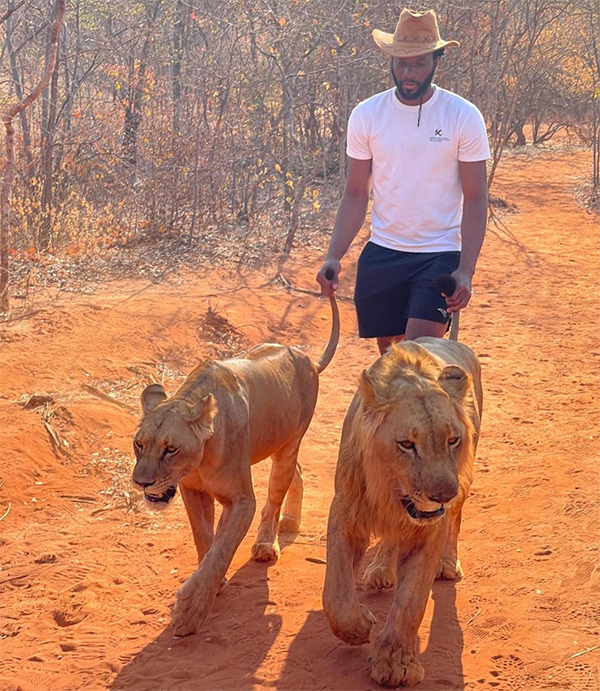 阿丘瓦大胆遛狮！尼克斯今夏动作频频剑指总冠军