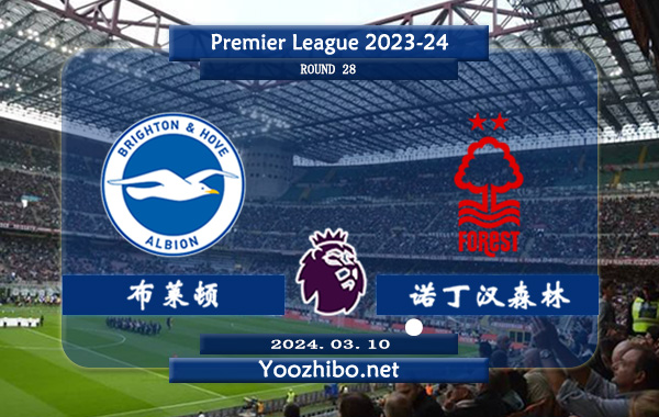 布莱顿vs诺丁汉森林赛事前瞻分析：布莱顿主场不败能力出色