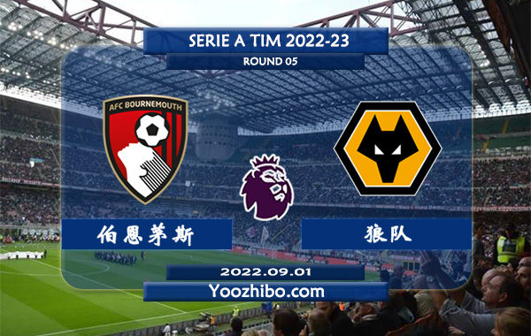 伯恩茅斯vs狼队赛事前瞻分析：伯恩茅斯近期低迷