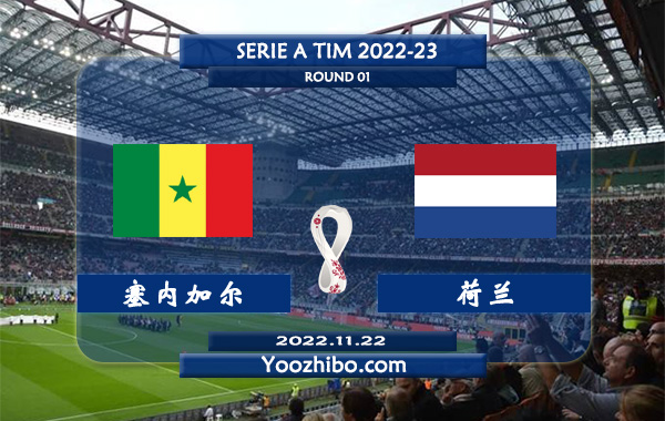 塞内加尔vs荷兰赛事前瞻分析：荷兰全队身价5.87亿欧元