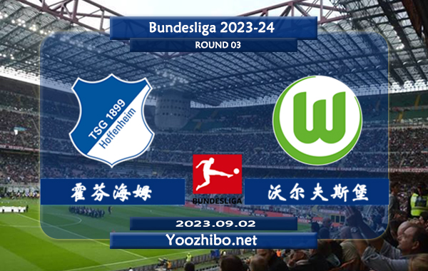 霍芬海姆vs沃尔夫斯堡赛事前瞻分析：霍芬海姆进攻尚可防守不佳