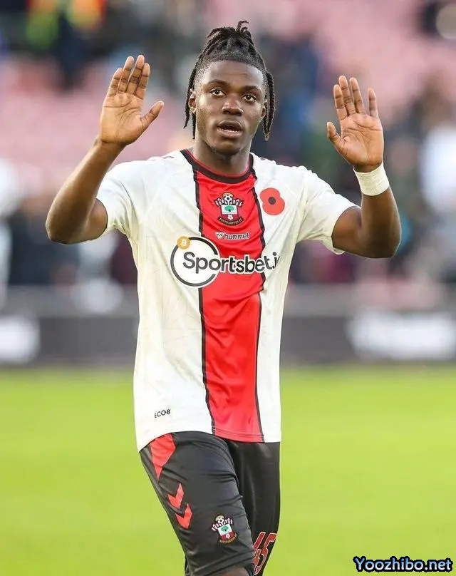 电讯报:切尔西将刘易斯-霍尔挂牌出售 但索要3000万镑