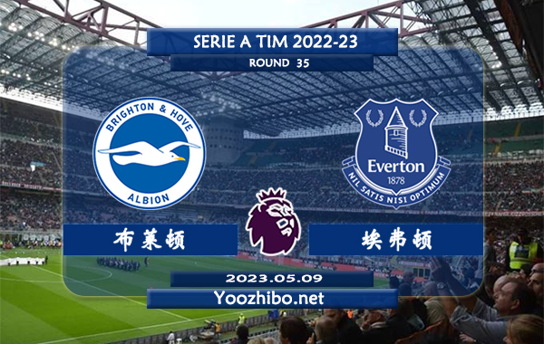 布莱顿vs埃弗顿赛事前瞻分析：布莱顿近10轮联赛6胜2平2负