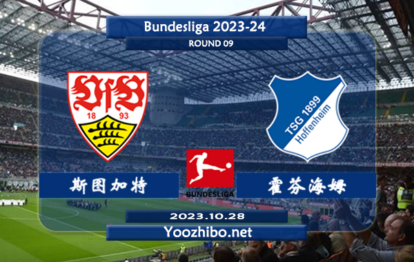 斯图加特vs霍芬海姆赛事前瞻分析：斯图加特已取得联赛6连胜