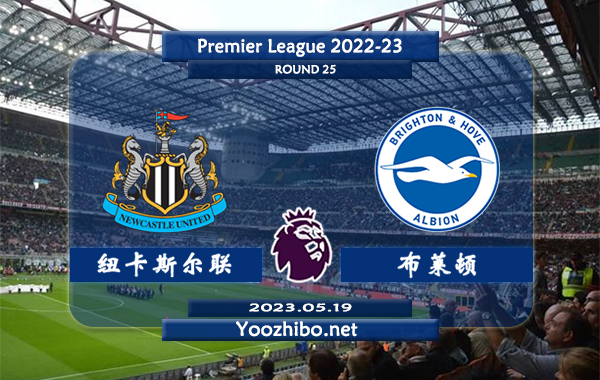 纽卡斯尔vs布莱顿赛事前瞻分析：纽卡斯尔赛季状态不俗