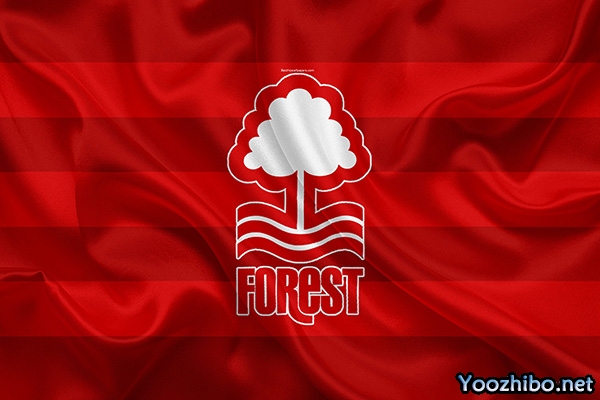 诺丁汉森林：冠军传奇之旅，经典战役点亮辉煌历史