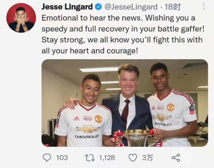 林加德：希望范加尔康复的速度能够像战斗机那样快