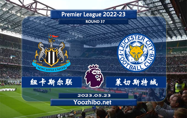 纽卡斯尔vs莱斯特城赛事前瞻分析：纽卡斯尔球队近况状态火热