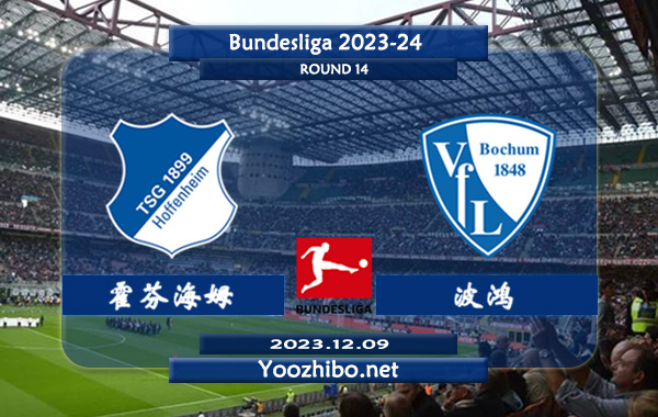 霍芬海姆vs波鸿赛事前瞻分析：波鸿近5轮联赛2胜3平