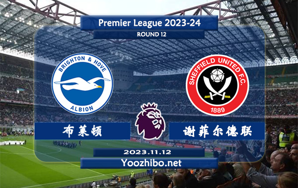 布莱顿vs谢菲尔德联赛事前瞻分析：布莱顿主场不败率高达80%