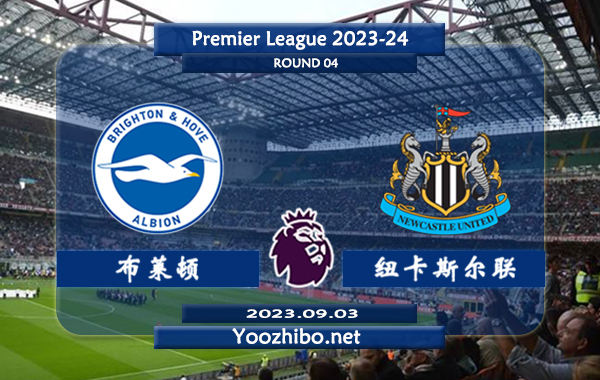 布莱顿vs纽卡斯尔赛事前瞻分析：布莱顿进攻尚可防守不佳