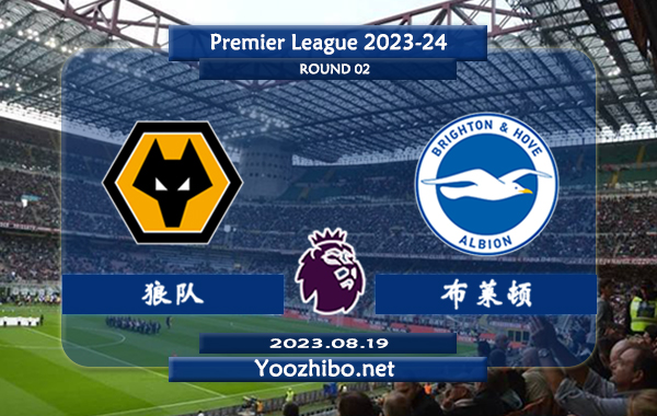 狼队vs布莱顿赛事前瞻分析：狼队休赛期状态有所回暖