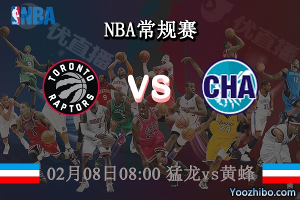 02月08日 NBA常规赛 猛龙vs黄蜂直播前瞻分析