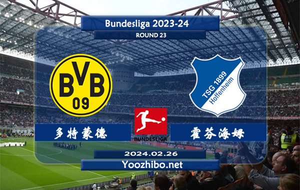 多特蒙德vs霍芬海姆赛事前瞻分析：多特蒙德赢球能力出色但稳定性不足