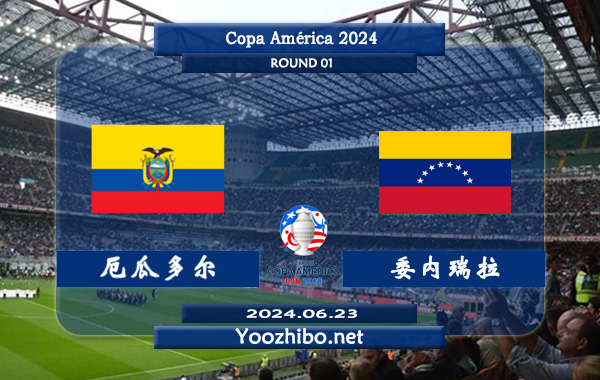 厄瓜多尔vs委内瑞拉赛事前瞻分析：厄瓜多尔状态实际不错