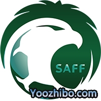 世界杯预选赛12强赛沙特阿拉伯阵容名单