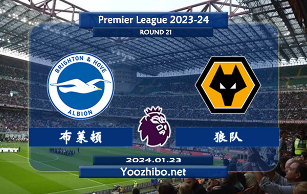 布莱顿vs狼队赛事前瞻分析：布莱顿主场不败率高达90%