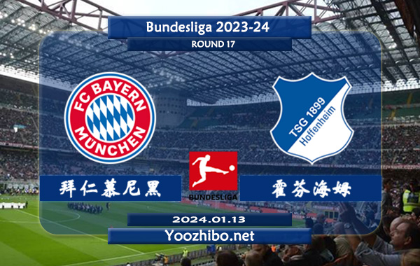 拜仁慕尼黑vs霍芬海姆赛事前瞻分析：拜仁主场胜率高达80%