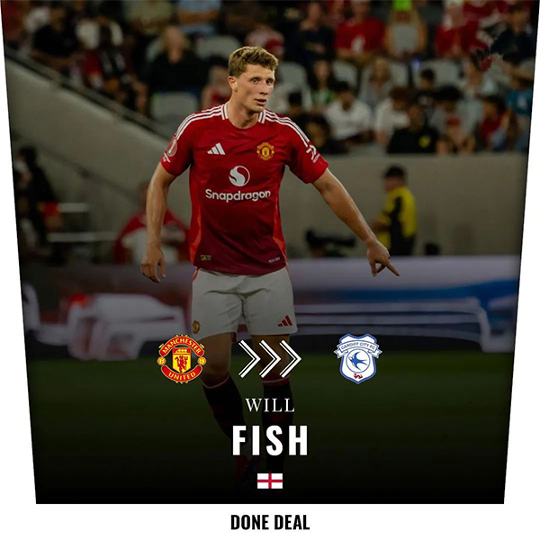 曼联的转会风潮：费什加盟加的夫城，其他球员何去何从